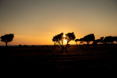 Silhouette trees on field against sky during sunset