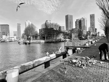 Doves on footpath by river against buildings in city