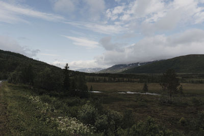 Scenic view of field against sky