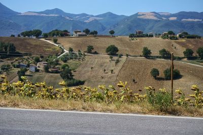 Scenic view of field against mountains