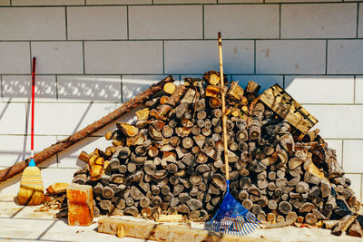 Stack of logs against wall in forest