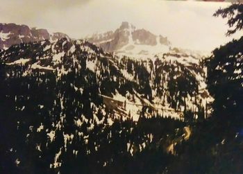 Panoramic shot of trees on landscape against sky