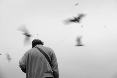 Rear view of man by birds flying against sky