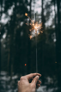 Cropped hand holding sparkler in forest during winter