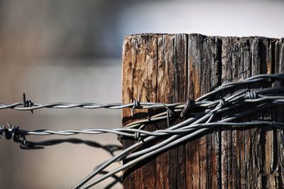 Close-up of wooden post on fence