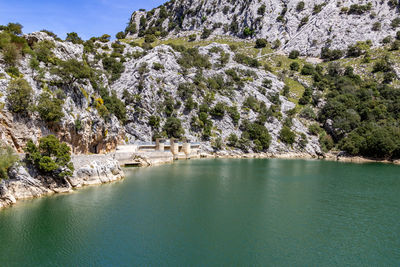 Scenic view of lake amidst trees