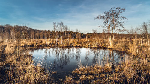 Scenic view of lake against sky