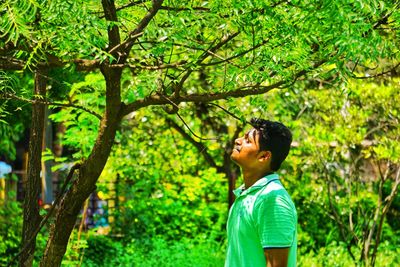 Side view of boy looking up in forest