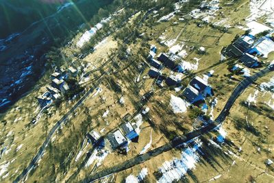 High angle view of trees