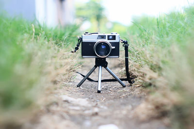 Surface level of camera on footpath amidst grass