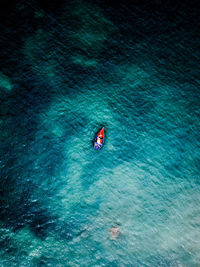 High angle view of person swimming in sea