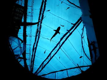 Low angle view of silhouette birds against blue sky seen through window