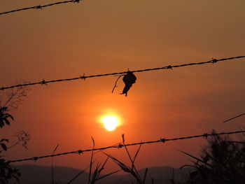 Silhouette of barbed wire against sky during sunset