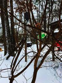 Low angle view of tree in winter