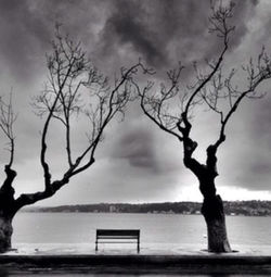 Bare trees against cloudy sky