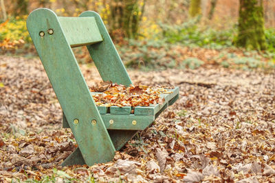 Wet yellow orange maple leafves on bench in the park. a rainy autumn day creates a sad mood