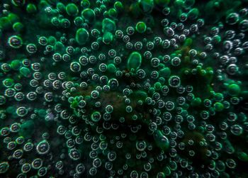 Full frame shot of bubbles in water