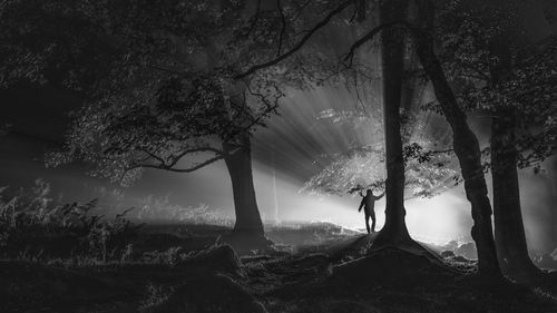 Silhouette man standing by tree in forest at night