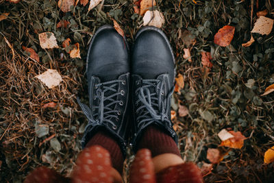 Photo of women's shoes on a background of green grass and autumn leaves