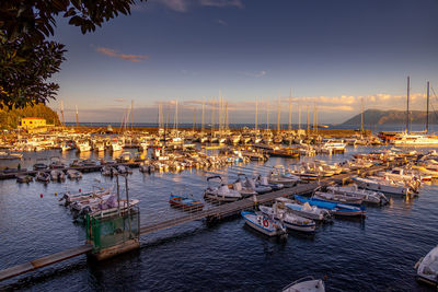 Boats moored at harbor