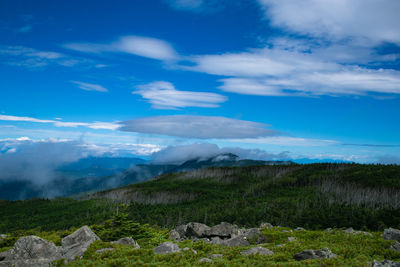 Scenic view of landscape against blue sky