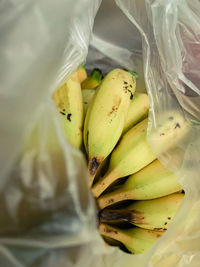 High angle view of fruits in plastic bag