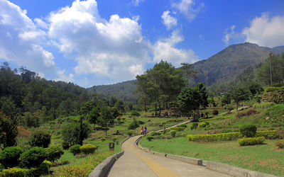 Panoramic view of road amidst trees against sky