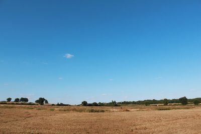 Scenic view of landscape against clear sky