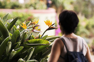 Rear view of woman standing by flowering plants outdoors
