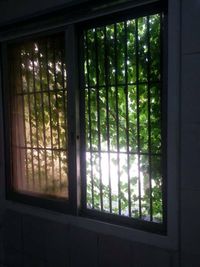 window