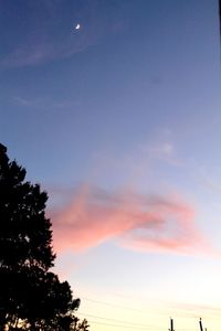 Low angle view of silhouette trees against sky at sunset