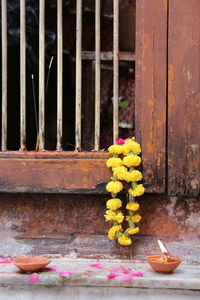 Close-up of yellow flower on metal