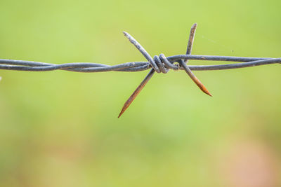 Close-up of barbed wire outdoors