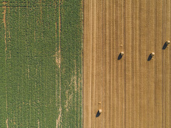 Aerial view of hay bales on field