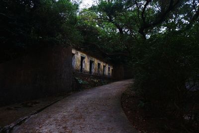 Road amidst trees