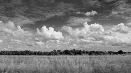 Scenic view of landscape against cloudy sky