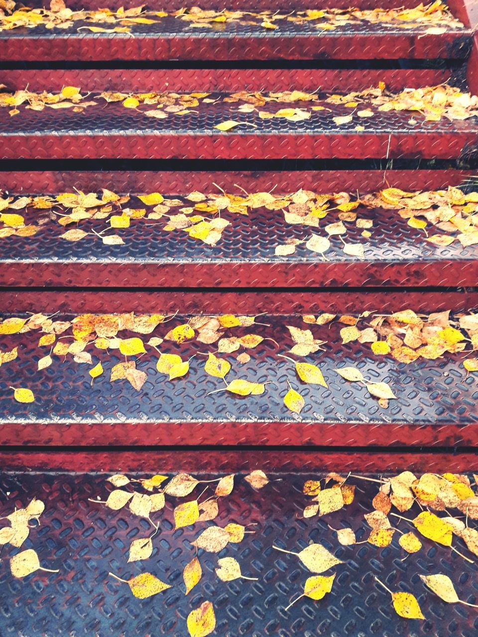 FULL FRAME SHOT OF YELLOW LEAVES ON CAR