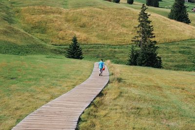 Rear view of man walking on footpath