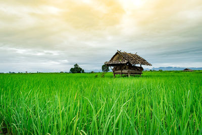 Agricultural field against sky