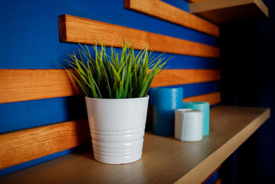 Close-up of potted plant on table at home