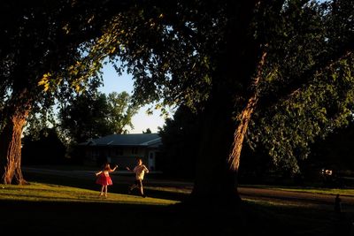 People by tree against sky