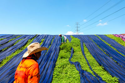 People drying blue fabrics on grassy field against blue sky during sunny day