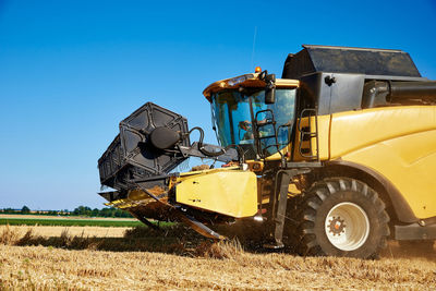 Harvester combine working in the field