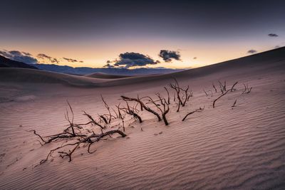 Scenic view of desert against sky during sunset