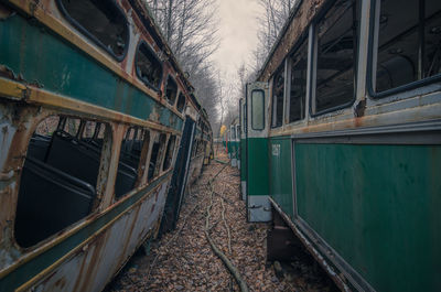 Abandoned trains in forest