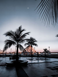 Silhouette palm trees by swimming pool against sky at dusk