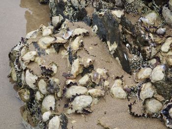 High angle view of sand on beach