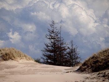Scenic view of snow covered land against sky