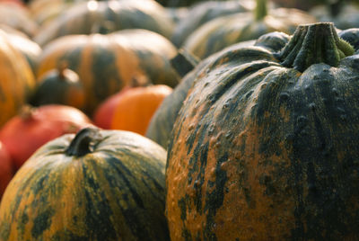 Close-up of pumpkin for sale at market