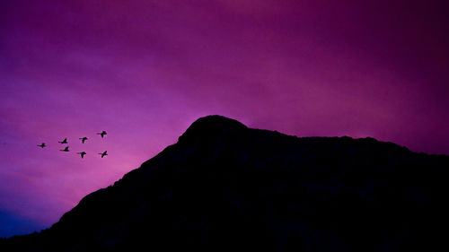 Low angle view of silhouette birds flying against sky